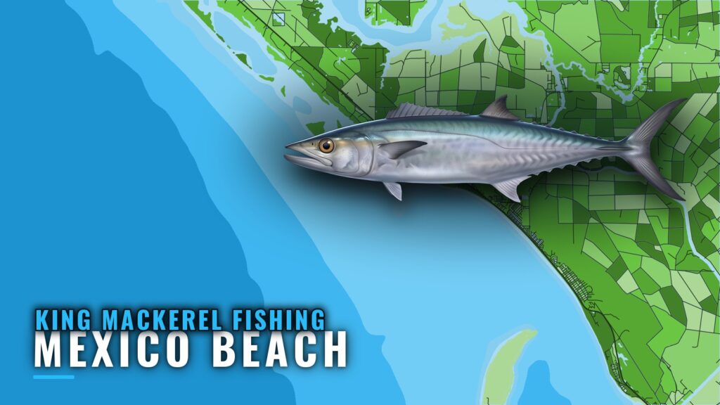 King Mackerel Fishing Out of Mexico Beach: When and Where