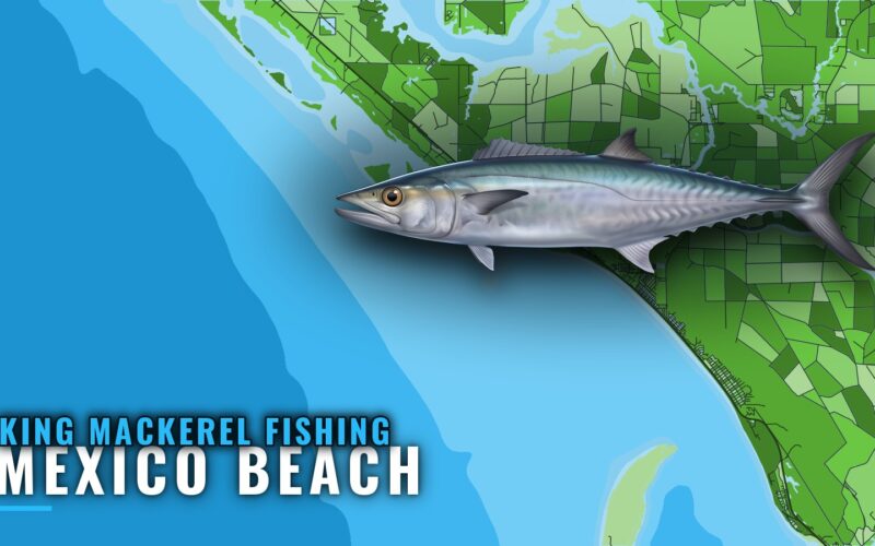 King Mackerel Fishing Out of Mexico Beach: When and Where