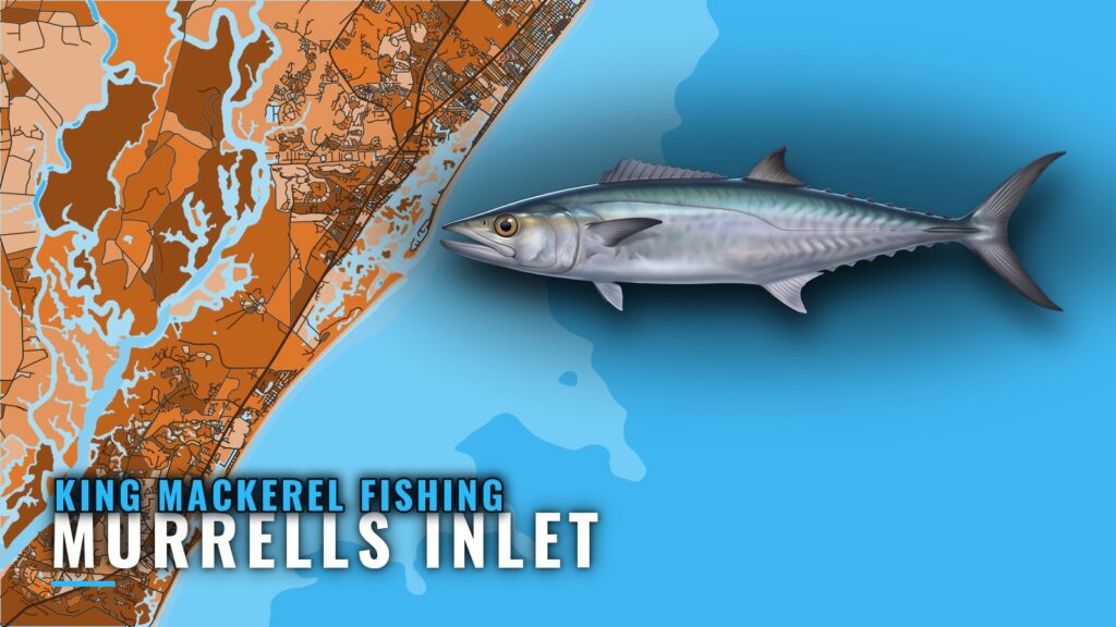 King Mackerel Fishing Out of Murrells Inlet: Reefs and Runs
