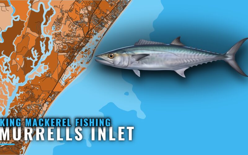 King Mackerel Fishing Out of Murrells Inlet: Reefs and Runs