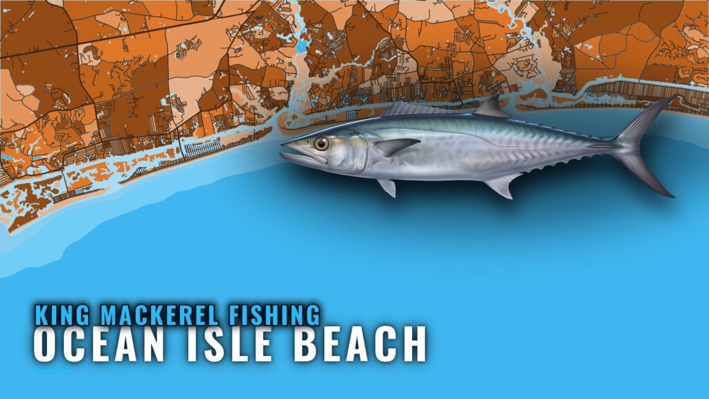 King Mackerel Fishing out of Ocean Isle Beach: Reef Guide
