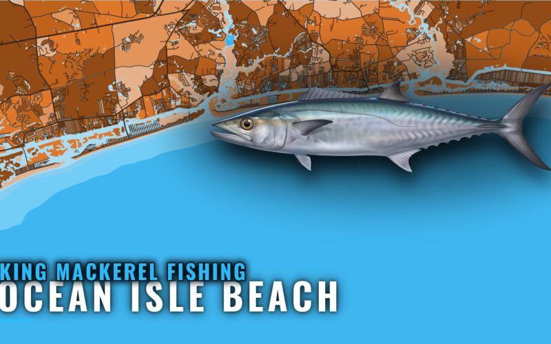 King Mackerel Fishing out of Ocean Isle Beach: Reef Guide
