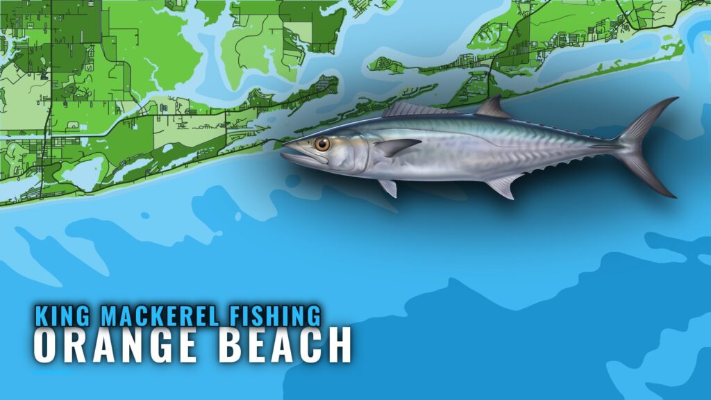 King mackerel fishing out of Orange Beach: reefs and runs