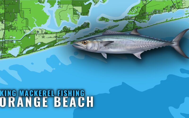 King mackerel fishing out of Orange Beach: reefs and runs