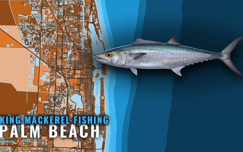 King Mackerel Fishing Out of Palm Beach: Grounds and Depths