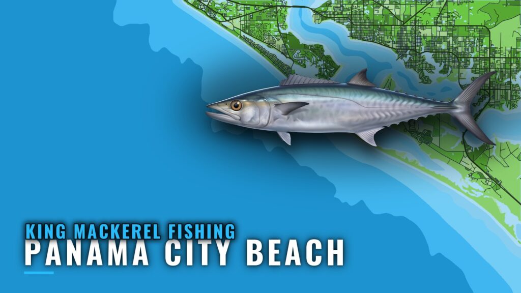 King Mackerel Fishing Out of Panama City Beach: Grounds