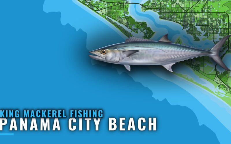 King Mackerel Fishing Out of Panama City Beach: Grounds