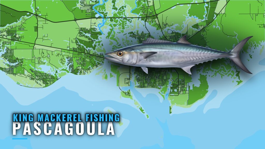 King Mackerel Fishing Out of Pascagoula: Reefs and Depths