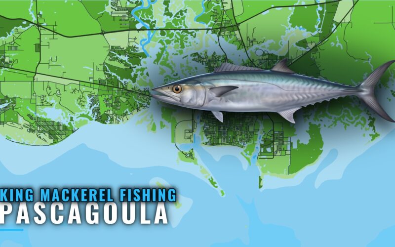 King Mackerel Fishing Out of Pascagoula: Reefs and Depths