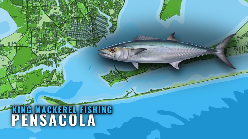 King Mackerel Fishing Out of Pensacola: Reefs and Runs