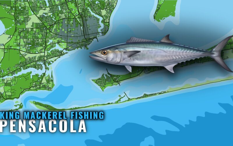 King Mackerel Fishing Out of Pensacola: Reefs and Runs