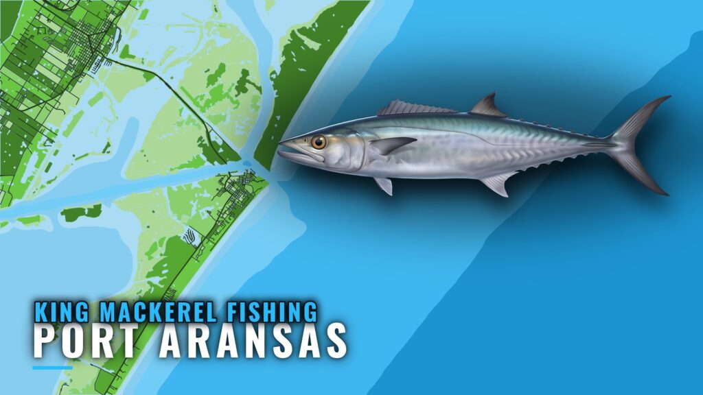 King Mackerel Fishing Out of Port Aransas: Reefs and Runs