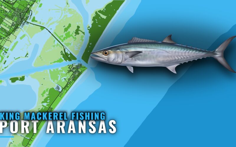 King Mackerel Fishing Out of Port Aransas: Reefs and Runs