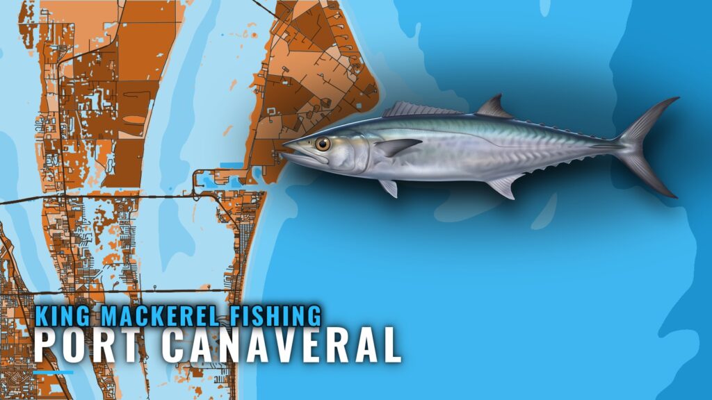 King Mackerel Fishing out of Port Canaveral: Spots and Runs