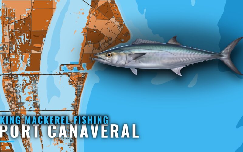 King Mackerel Fishing out of Port Canaveral: Spots and Runs