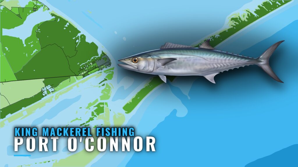 King Mackerel Fishing Out of Port O’Connor: Where to Run
