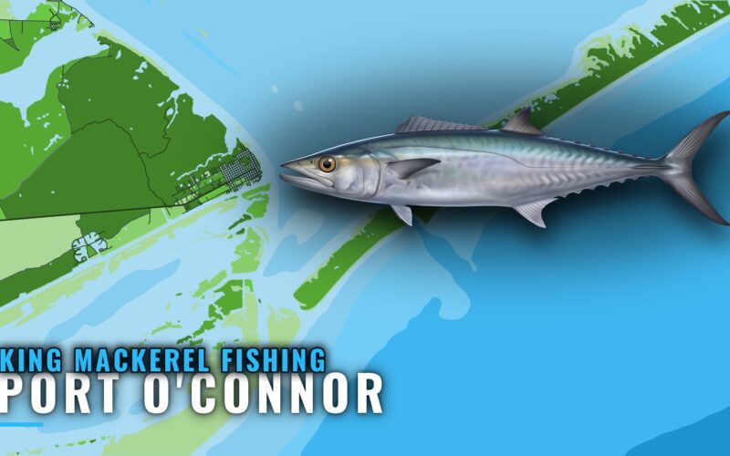 King Mackerel Fishing Out of Port O’Connor: Where to Run