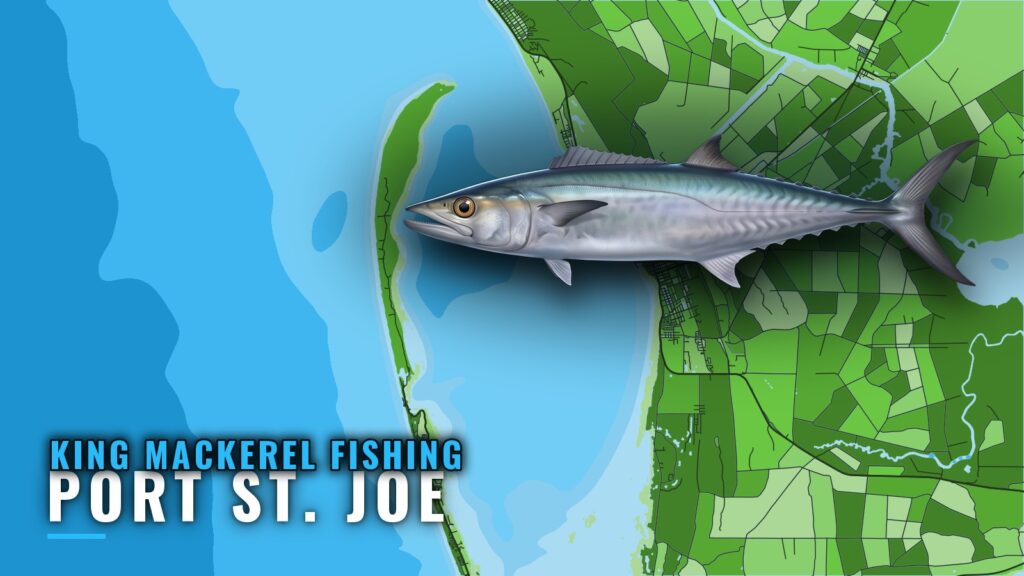 King Mackerel Fishing Out of Port St. Joe: Reefs and Season
