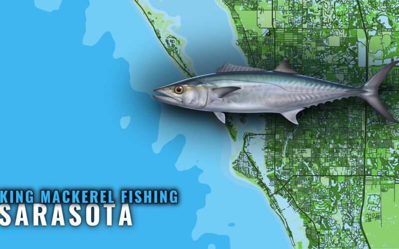 King Mackerel Fishing Out of Sarasota: Grounds and Runs