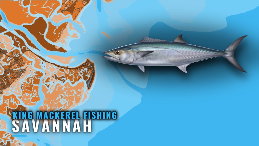King Mackerel Fishing Out of Savannah: Reefs, Runs, Season