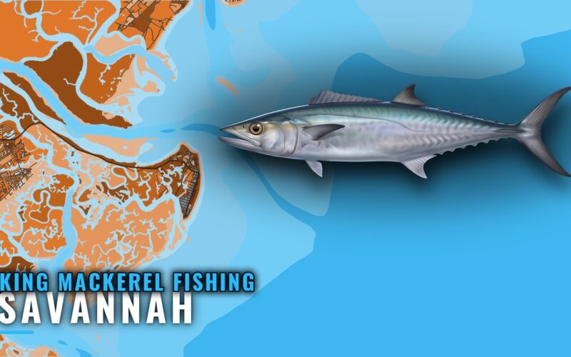 King Mackerel Fishing Out of Savannah: Reefs, Runs, Season