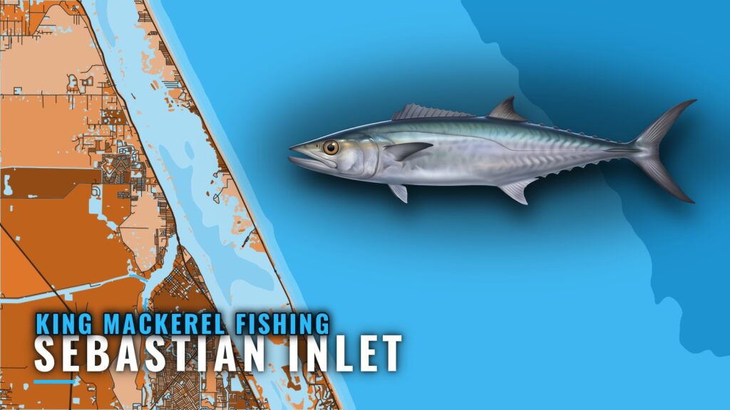 King Mackerel Fishing Out of Sebastian Inlet: Where to Run