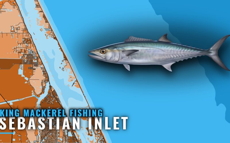 King Mackerel Fishing Out of Sebastian Inlet: Where to Run