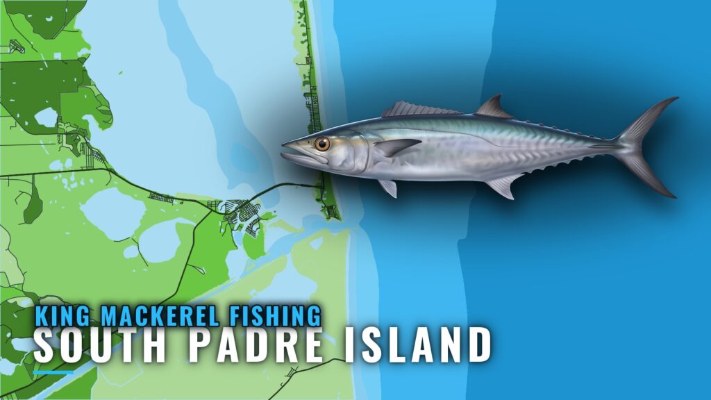 King Mackerel Fishing Out of South Padre Island, Texas