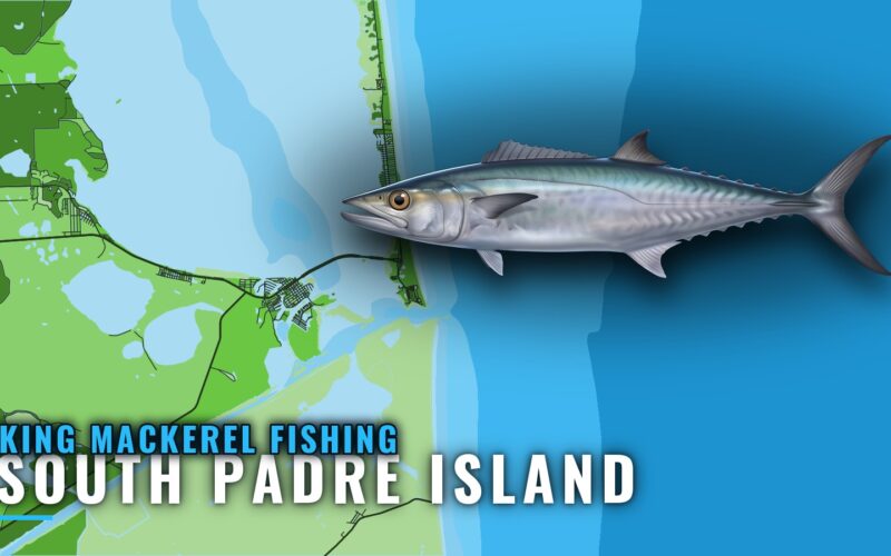 King Mackerel Fishing Out of South Padre Island, Texas