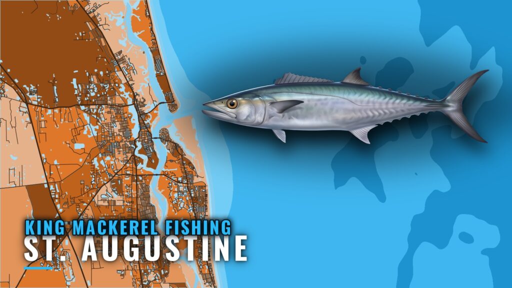 King Mackerel Fishing Out of St. Augustine: Reefs and Runs