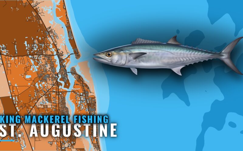 King Mackerel Fishing Out of St. Augustine: Reefs and Runs