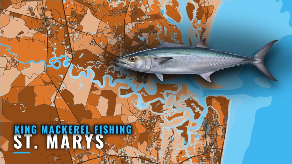 King Mackerel Fishing Out of St. Marys: Reefs and Runs