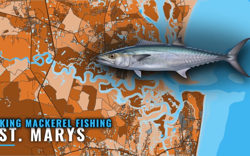 King Mackerel Fishing Out of St. Marys: Reefs and Runs