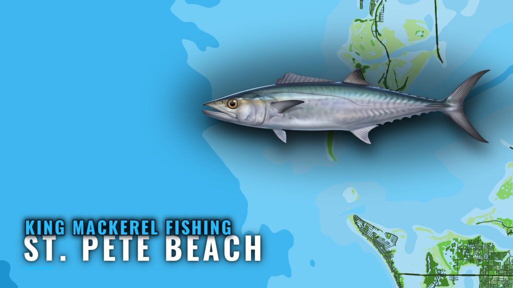 King Mackerel Fishing Out of St. Pete Beach: Where and How