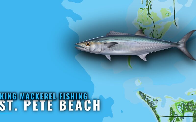 King Mackerel Fishing Out of St. Pete Beach: Where and How