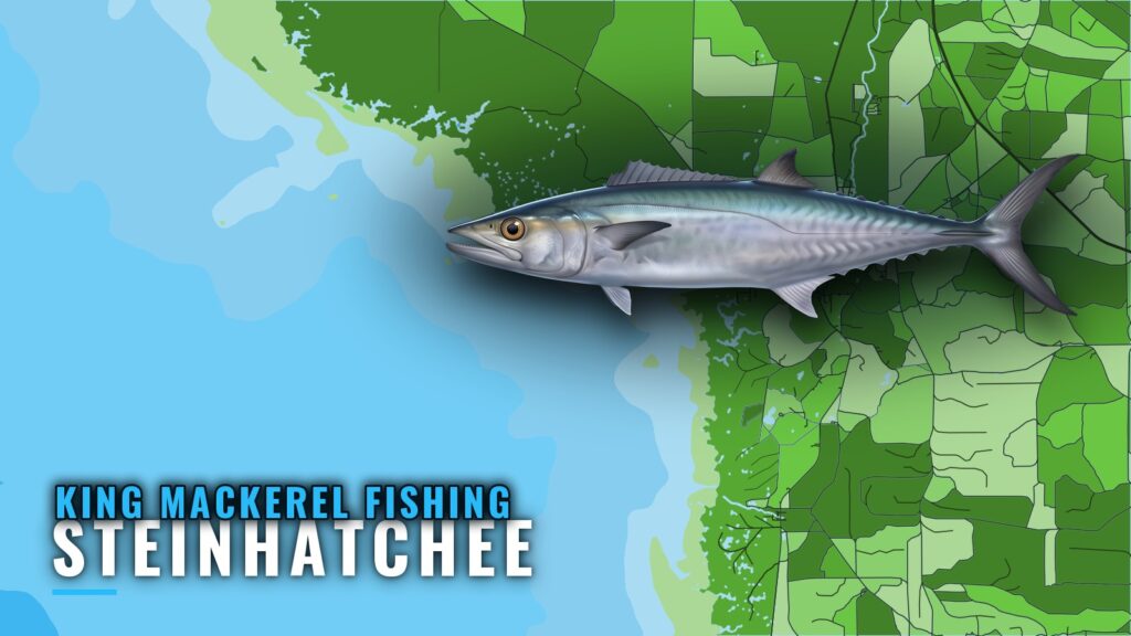 King Mackerel Fishing Out of Steinhatchee: Runs and Grounds
