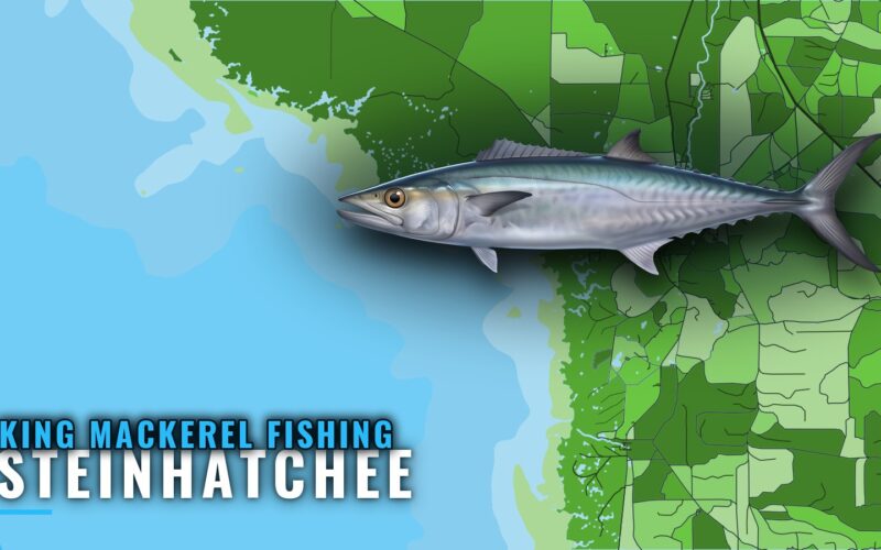 King Mackerel Fishing Out of Steinhatchee: Runs and Grounds