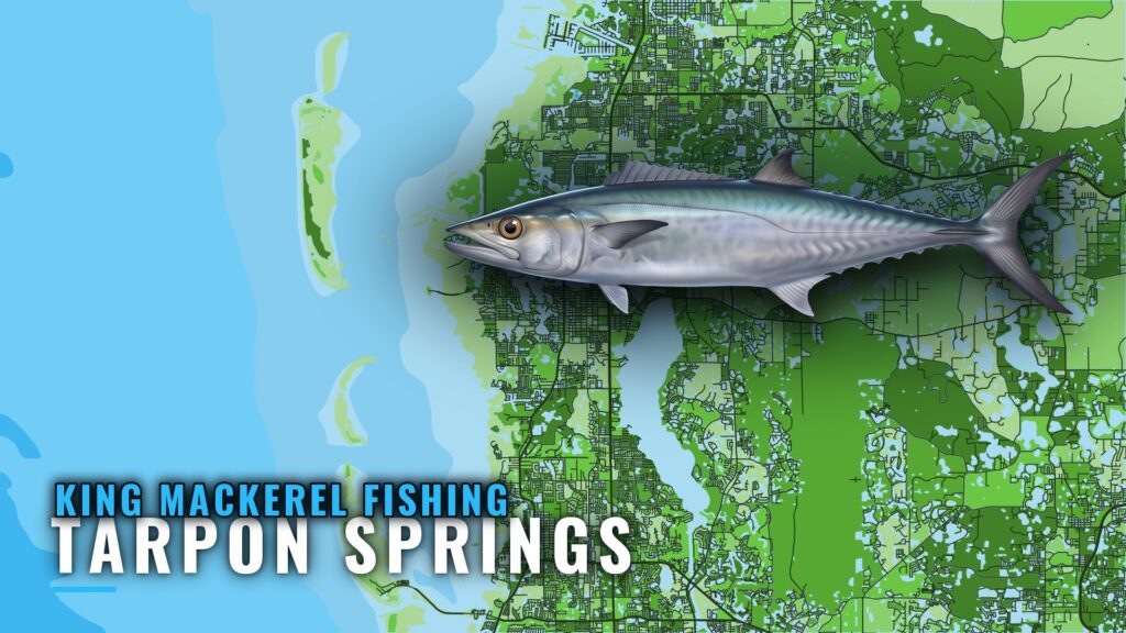 King Mackerel Fishing Out of Tarpon Springs: Reefs and Runs