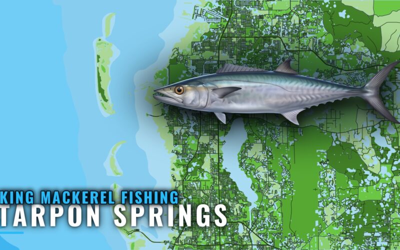 King Mackerel Fishing Out of Tarpon Springs: Reefs and Runs