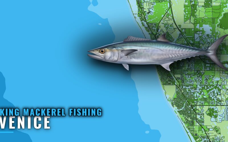 King Mackerel Fishing Out of Venice: Reefs, Runs, Methods