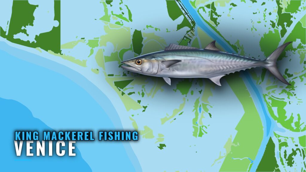 King Mackerel Fishing Out of Venice: Lumps, Rigs and Runs