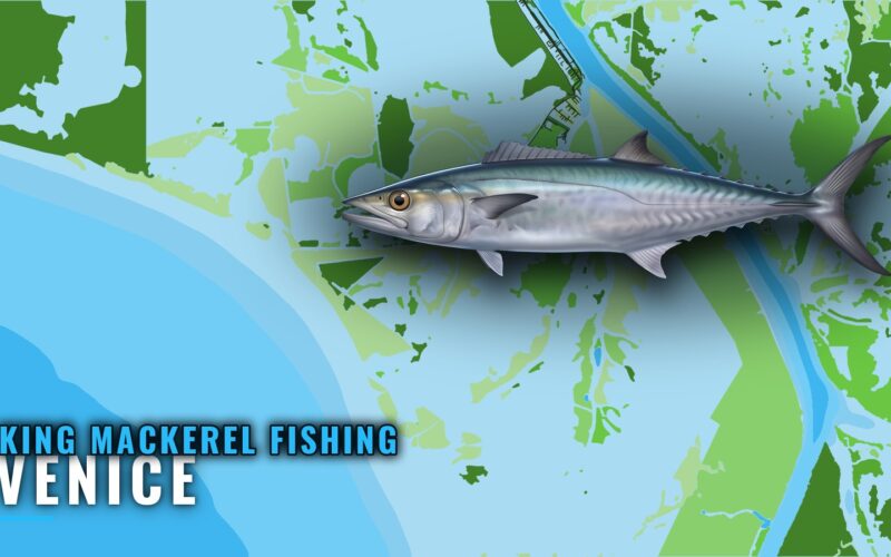 King Mackerel Fishing Out of Venice: Lumps, Rigs and Runs