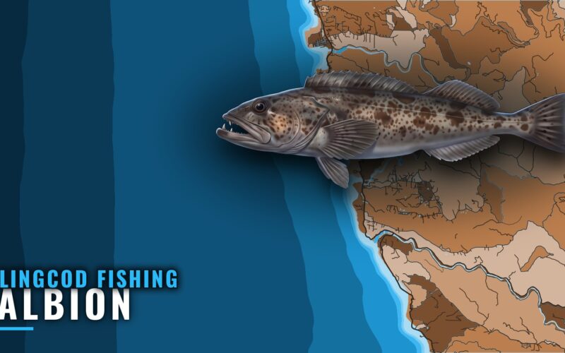Lingcod Fishing Out of Albion: Reefs, Depths and Buoys