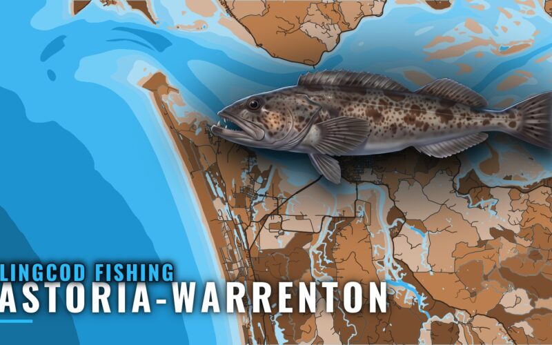 Lingcod Fishing Out of Astoria-Warrenton: Grounds and Runs