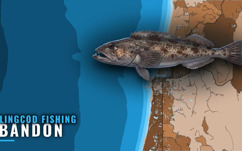 Lingcod Fishing Out of Bandon: Season, Run and Grounds
