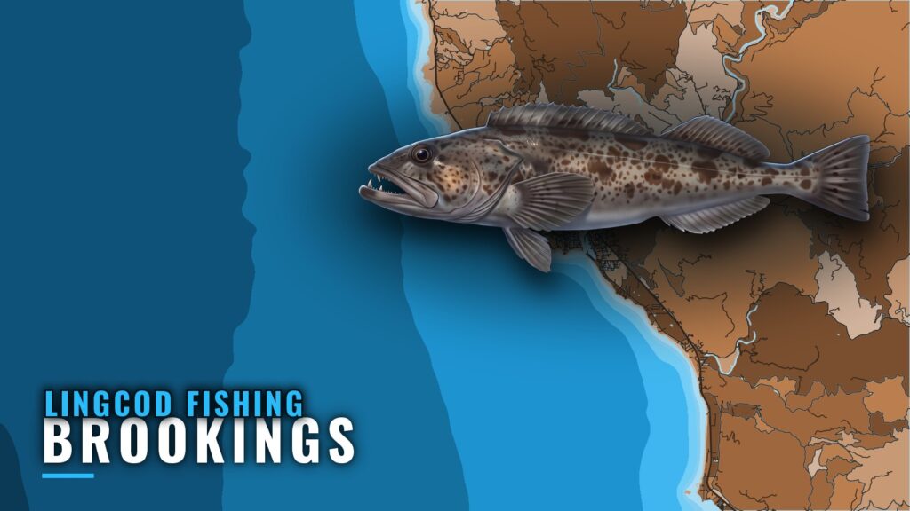 Lingcod Fishing Out of Brookings: Grounds, Depths, Months