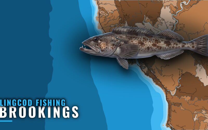 Lingcod Fishing Out of Brookings: Grounds, Depths, Months