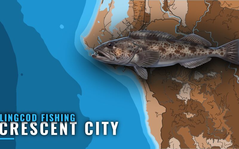 Lingcod Fishing Out of Crescent City: Grounds and Methods
