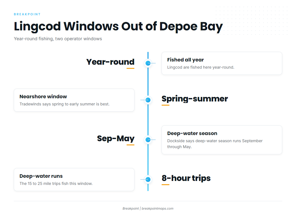 When lingcod are around Depoe Bay