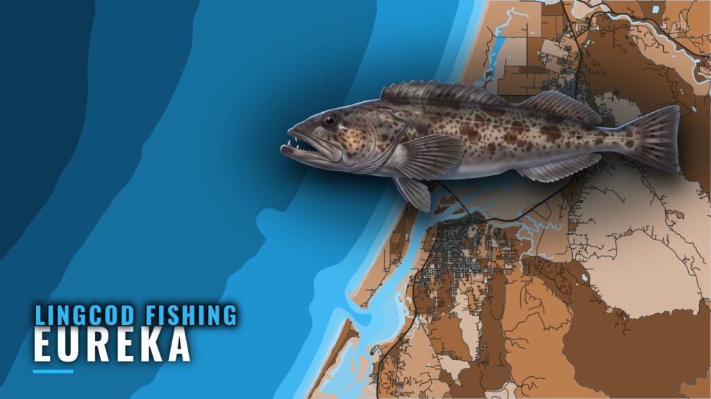 Lingcod Fishing Out of Eureka: Season, Grounds and Charters